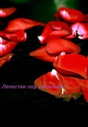 Обложка книги «Лепестки под каблуками (СИ)»