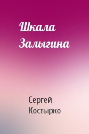 Обложка книги «Шкала Залыгина» — Сергей Костырко