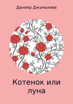 Обложка книги «Котенок или луна» — Данияр Джумалиев
