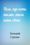 Валерий Строкин - Там, где есть тьма, там есть свет