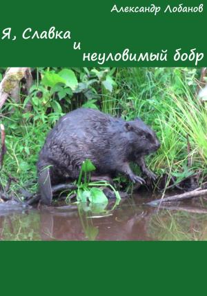 Обложка книги «Я, Славка и неуловимый бобр» — Александр Лобанов
