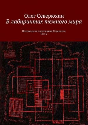 Обложка книги «В лабиринтах тёмного мира. Том 2» — Олег Северюхин