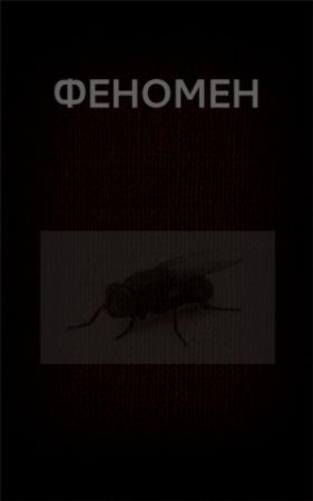 Обложка книги «ФЕНОМЕН» — Вадим Астанин