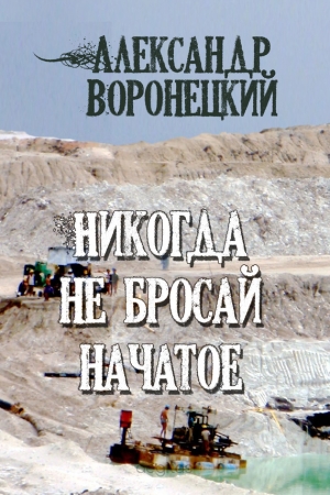 Обложка книги «Никогда не бросай начатое» — Александр Воронецкий