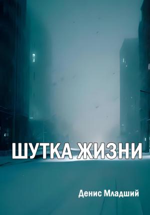 Обложка книги «Шутка жизни» — Денис Младший