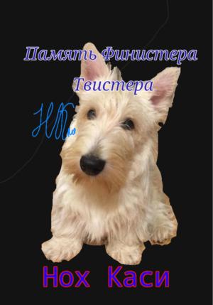Обложка книги «Память Финистера Твистера» — Нох Каси