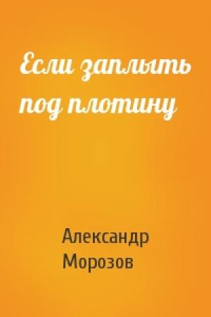 Обложка книги «Если заплыть под плотину» — Александр Морозов
