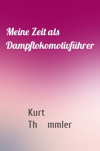 Meine Zeit als Dampflokomotivführer