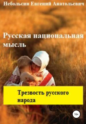 Обложка книги «Русская национальная мысль. Трезвость русского народа» — Евгений Небольсин