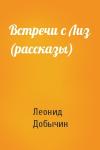 Л Добычин - Встречи с Лиз (рассказы)