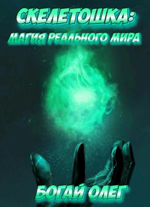 Обложка книги «Магия реального мира» — Олег Богай