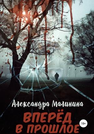 Обложка книги «Вперед в прошлое» — Александра Малинина