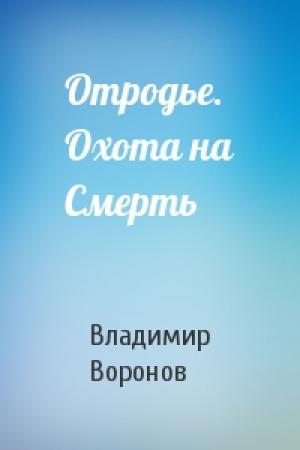 Обложка книги «Отродье. Охота на Смерть» — Владимир Воронов