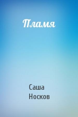 Обложка книги «Пламя» — Саша Носков