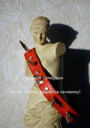 Обложка книги «Сестёр люблю, фашистов ненавижу!» — Сергей Семеркин