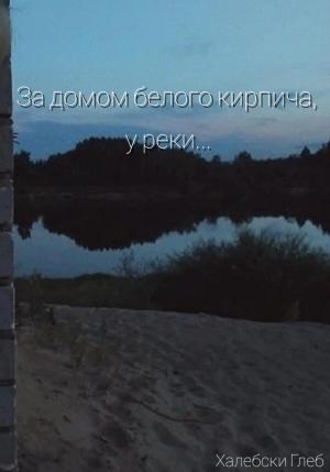 Обложка книги «За домом белого кирпича, у реки…» — Глеб Халебски