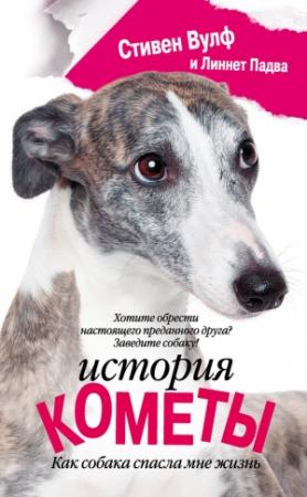 Обложка книги «История Кометы» — Стивен Вулф, Линнет Падва