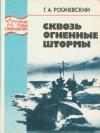 Георгий Рогачевский - Сквозь огненные штормы