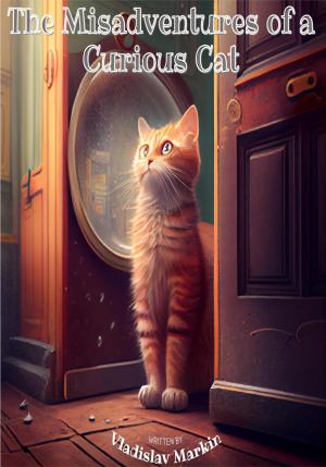 Обложка книги «The Misadventures of a Curious Cat» — Владислав Маркин