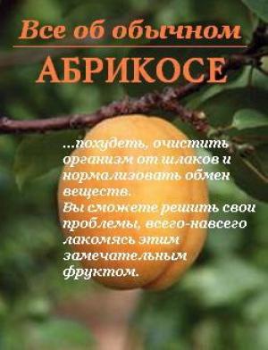 Обложка книги «Все об обычном абрикосе» — Иван Дубровин