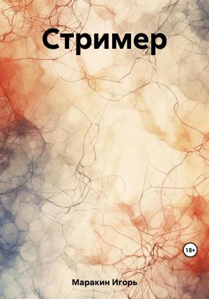 Обложка книги «Стример» — Игорь Маракин