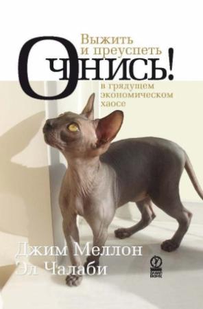 Обложка книги «Очнись! Выжить и преуспеть в грядущем экономическом хаосе» — Эл Чалаби, Джим Меллон