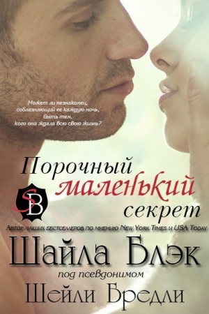 Обложка книги «Порочный маленький секрет» — Шелли Брэдли