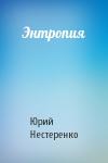 Юрий Нестеренко - Энтропия