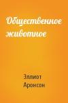 Эллиот Аронсон - Общественное животное