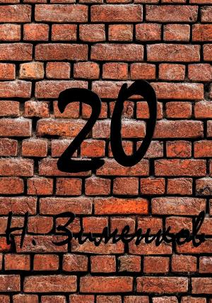 Обложка книги «20» — Никита Зименков