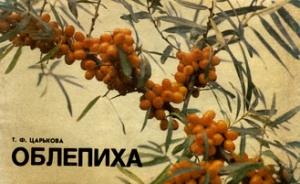 Обложка книги «Облепиха» — Татьяна Царькова