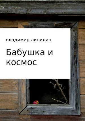 Обложка книги «Бабушка и космос» — Владимир Липилин
