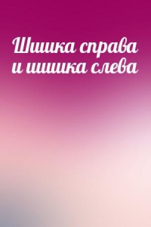 Обложка книги «Шишка справа и шишка слева»