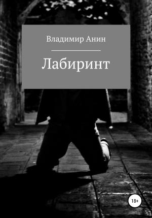Обложка книги «Лабиринт» — Владимир Анин