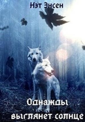 Обложка книги «Однажды выглянет солнце» — Наталья Буренчева