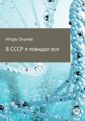 Обложка книги «В СССР я повидал все» — Игорь Окунев