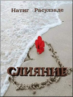 Обложка книги «Слияние» — Натиг Расулзаде