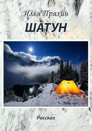 Обложка книги «Шатун» — Илья Пряхин