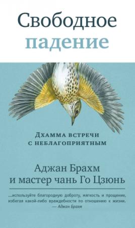 Обложка книги «Свободное падение. Дхамма встречи с неблагоприятным» — Аджан Брахм, Го Цзюнь