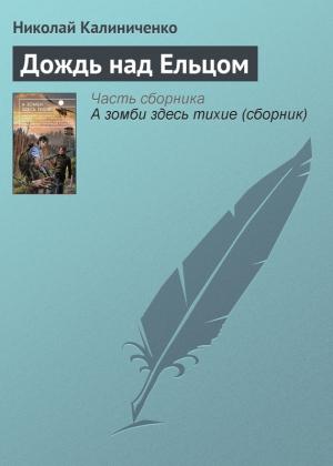 Обложка книги «Дождь над Ельцом» — Николай Калиниченко