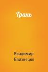 Владимир Близнецов - Грань