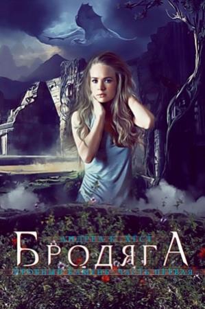 Обложка книги «Бродяга» — Андреа Хёст
