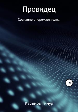 Обложка книги «Провидец» — Тимур Касымов