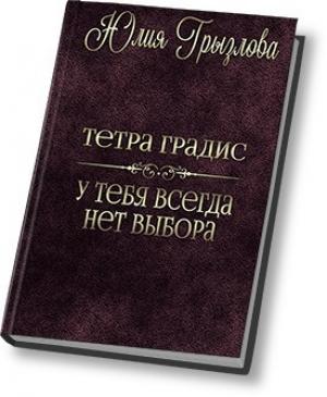 Обложка книги «У тебя всегда нет выбора (СИ)» — Юлия Грызлова