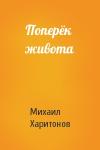 Михаил Харитонов - Поперёк живота