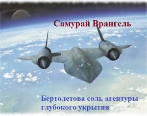 Обложка книги «Бертолетова соль агентуры глубокого укрытия» — Данила Врангель