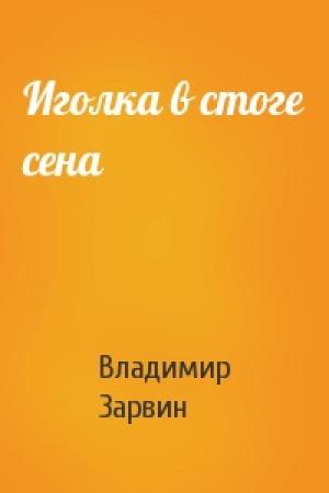 Обложка книги «Иголка в стоге сена» — Владимир Зарвин