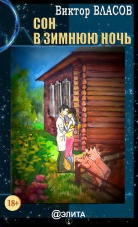 Обложка книги «Сон в зимнюю ночь» — Виктор Витальевич Власов