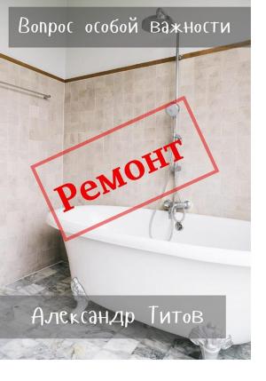 Обложка книги «Вопрос особой важности» — Александр Титов