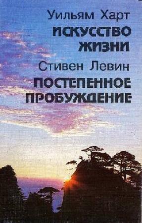 Обложка книги «Постепенное пробуждение» — Стивен Левин